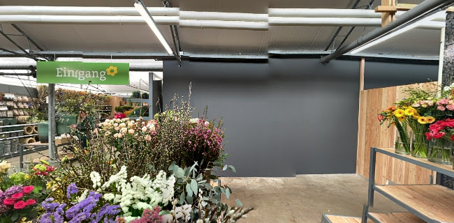 Oertig Blumen und Pflanzen Wangen - Gartenbauer