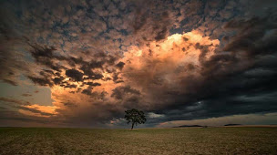 Photo n°4 de frederic coiffure homme à Saint-Drézéry (Salon de coiffure)