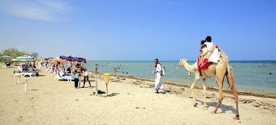 Photos of Gurgusum Beach Resort