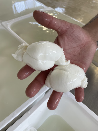 Dairy Locaputo Gianvito - Thumbnail