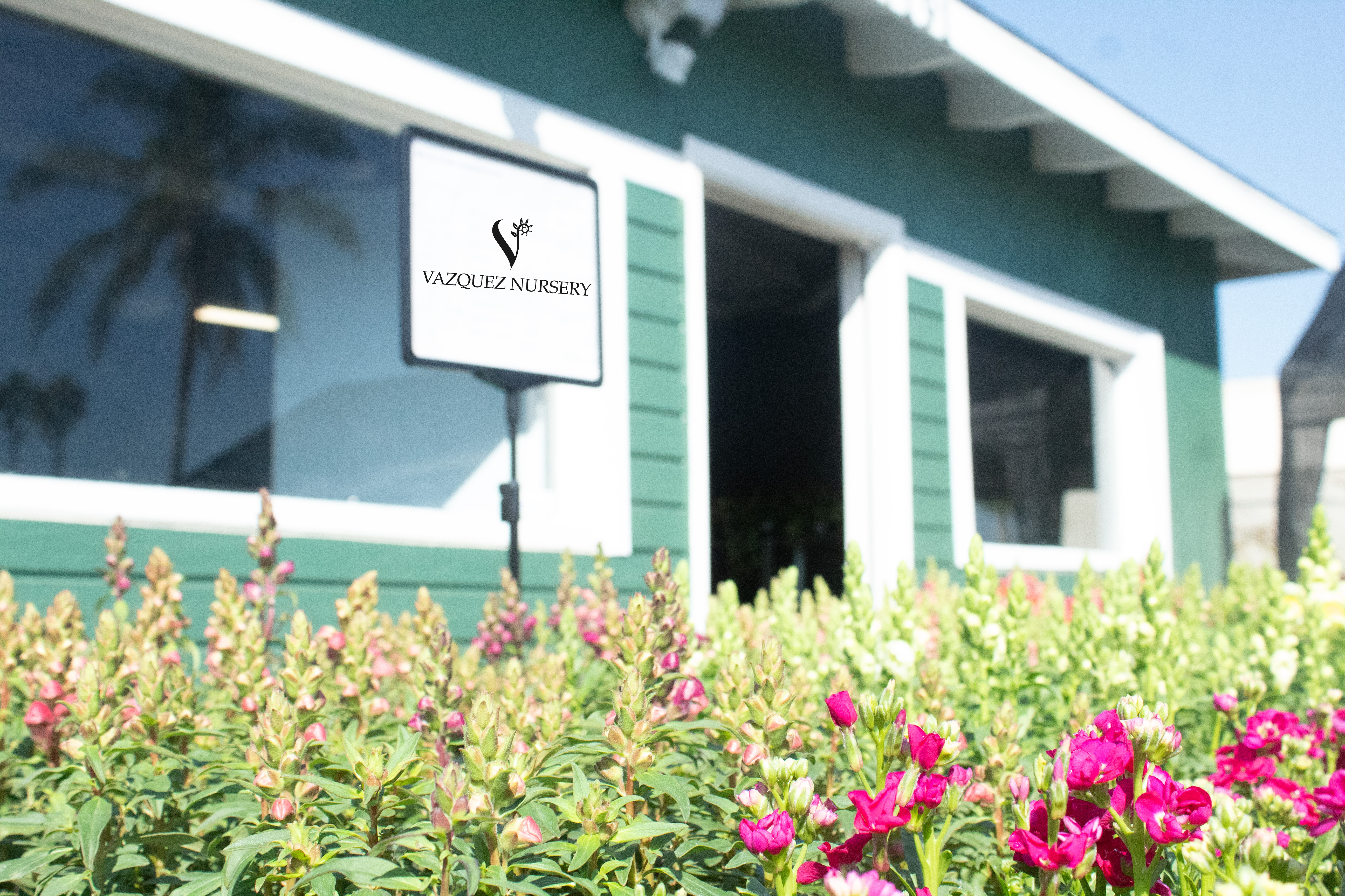 Vazquez Nursery