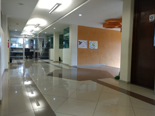 Facultad de Lenguas - Thumbnail
