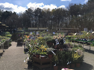 Photo n°5 de Point Vert GRAND CHAMP à Grand-Champ (Magasin d'outillage)