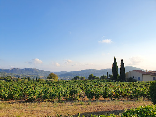 Maison des Vins de Bandol - Thumbnail