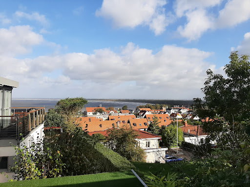 Pershögsskogen - Visual