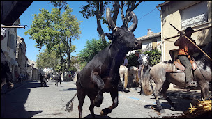 Photo n°26 de Mairie de Maussane-les-Alpilles à Maussane-les-Alpilles (Hôtel de ville)