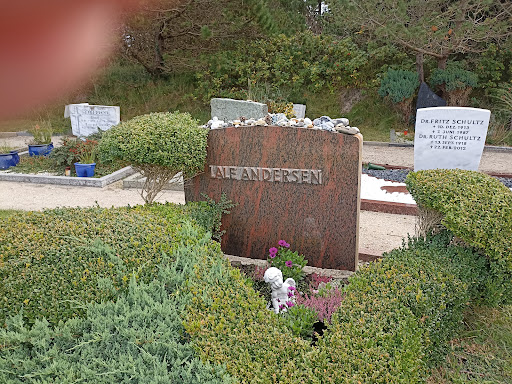 Friedhof Langeoog - Thumbnail