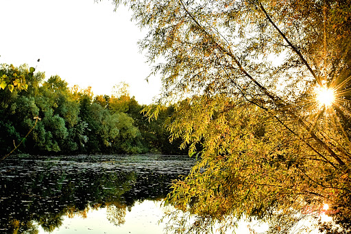 Weiher bei Hanhofen - Thumbnail