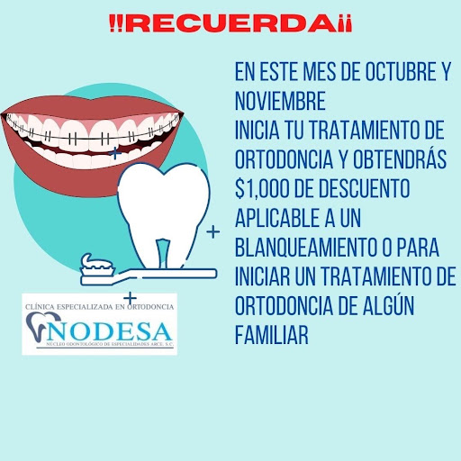 Nodesa - Visual
