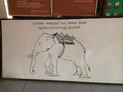 Photos of Pho Kyar Elephant Camp