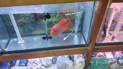 New Lucky Fish Aquarium & Pet Supply