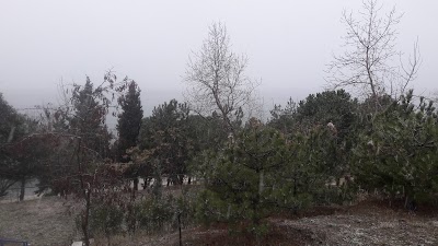 Photos of Bağkent G&uuml;zelleştirme M&uuml;zesi