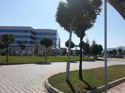 Photos of Anemon