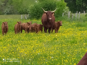 Photo n°3 de La ferme de Toutes Aures à Brion (Ferme bio)