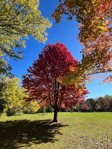 Ewing Park ll - Visual