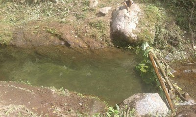 Photos of Nuevo Colon