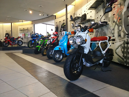 Rocky Mountain Cycle Plaza - Thumbnail