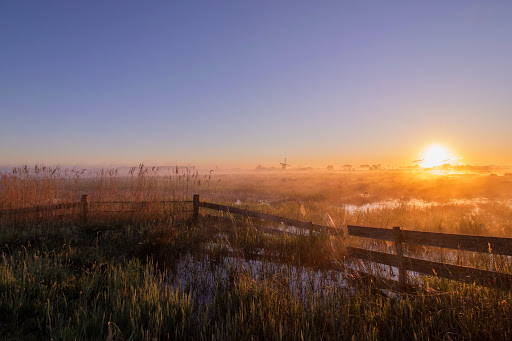 Onnerpolder - Visual