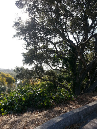 United Methodist Church Of Santa Cruz - Thumbnail
