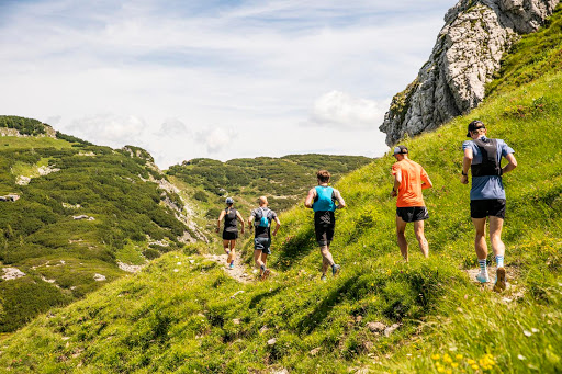 PRO.TrainingTours - Visual