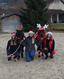 Photo n°4 de Centre Equestre des 2 Vallées à Serrières-en-Chautagne (Centre équestre)