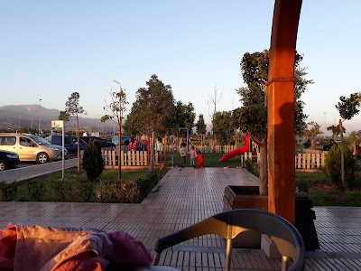 Photos of طوطال