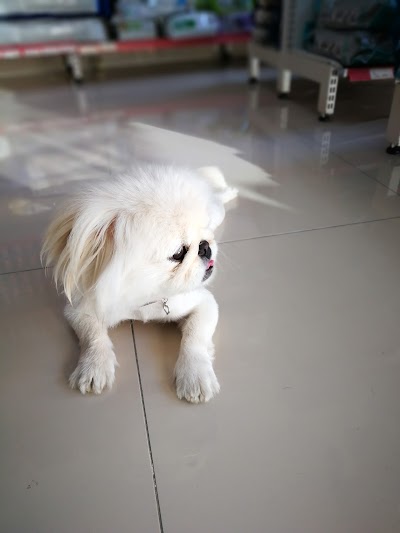 Photos of Veterinary Clinics estuary
