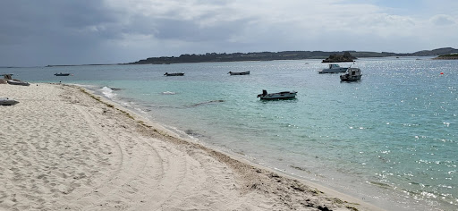 Scilly Carts - Visual