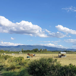 Photo n°25 de ECURIES DE LA VEORE à Beaumont-lès-Valence (Centre équestre)