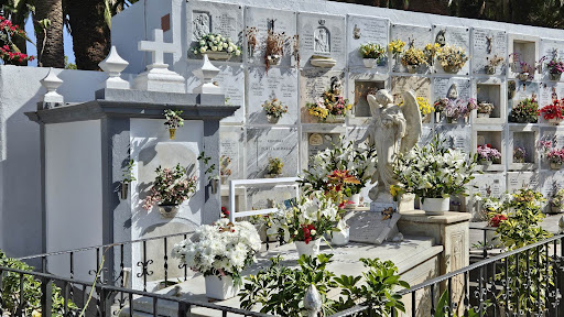 Cementerio Municipal de San Carlos - Thumbnail