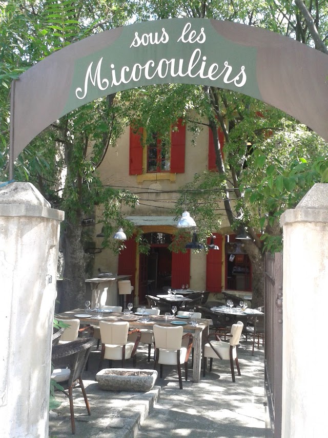 restaurant sous les micocouliers