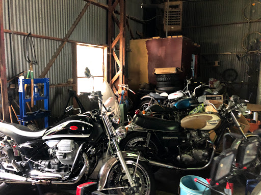 Relic Cycles - Visual
