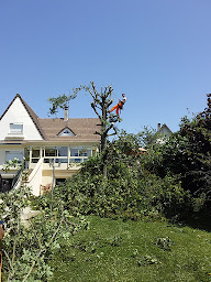 Photo n°11 de Metbach élagage à Montévrain (Jardinier)