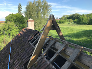 Photo n°1 de Picus Viridis à Vénissieux (Charpentier)