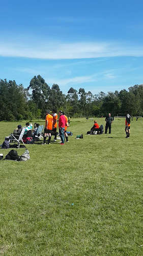 Opiniones de Cancha SaFa en Ciudad del Plata - Campo de fútbol
