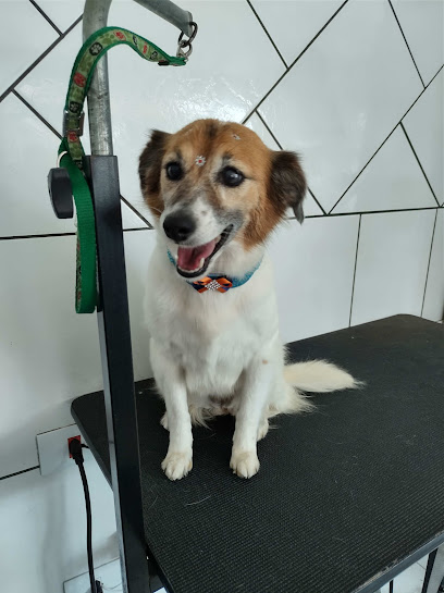 Los Pets - Hospedagem e Day Care