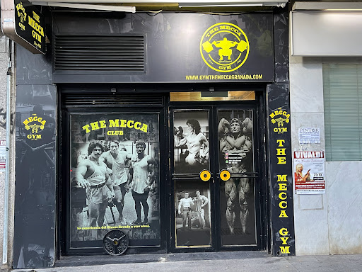 The Santa Monica Gym Mecca - Thumbnail