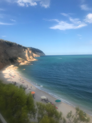 Yogargano - Visual