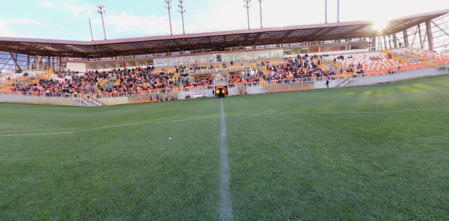 Comentarios y opiniones de Estadio Municipal Zorros del Desierto