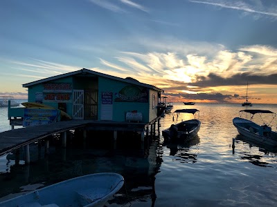 Photos of Reef Adventures Dive & Tours