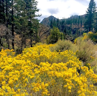 Centerville Flat Campground