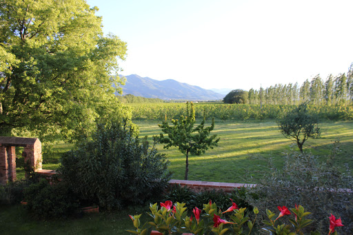 Photo de Mas de Villeclare à Palau-del-Vidre (66690)