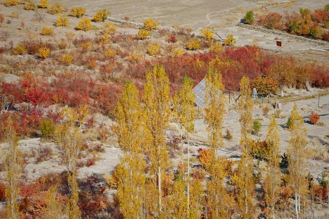 Basgo gompa