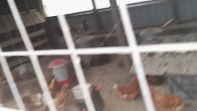 Photos of Thistledowne Farm