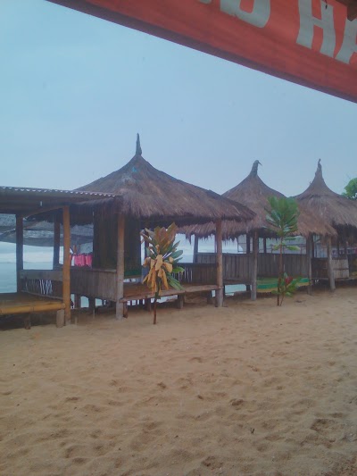 Photos of GL Snorkeling