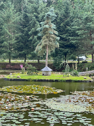 Seerosenteich an der Winde - Thumbnail