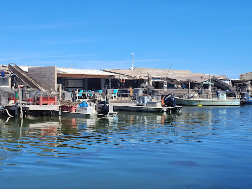 Huitres Leucate - Thumbnail