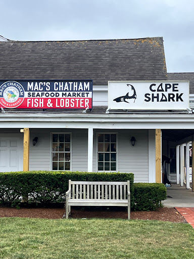 Cape Shark - Visual
