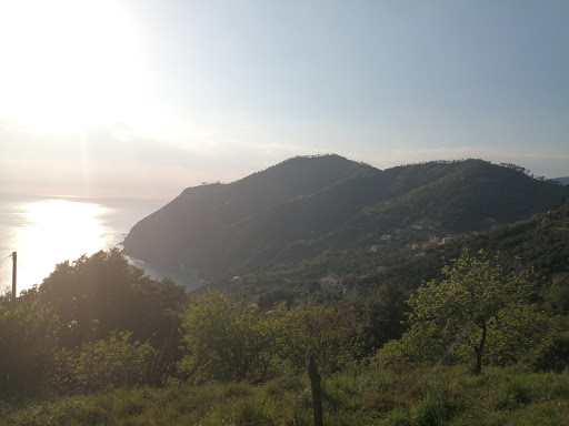 Cascinelli - Visual