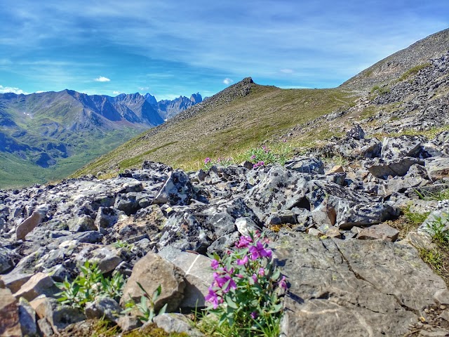 Tombstone Territorial Park